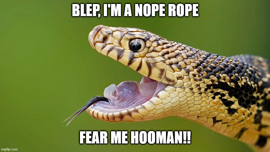 Nope Rope! | BLEP, I'M A NOPE ROPE; FEAR ME HOOMAN!! | made w/ Imgflip meme maker