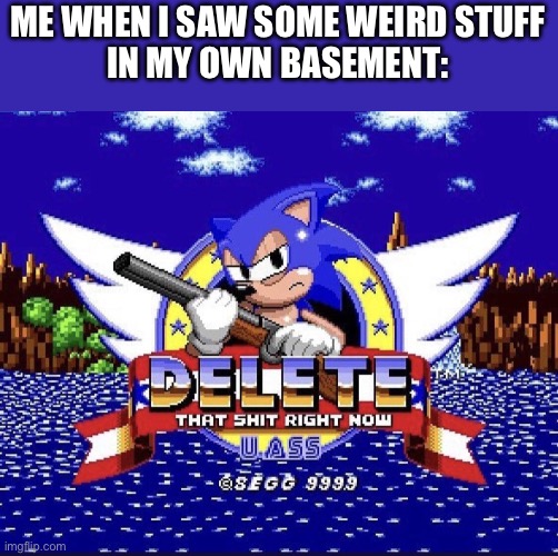 Use your unsee juice | ME WHEN I SAW SOME WEIRD STUFF
IN MY OWN BASEMENT: | image tagged in sonic delete that sh t right now u a | made w/ Imgflip meme maker