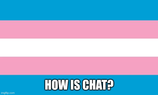 Trans I am | HOW IS CHAT? | image tagged in transgender flag | made w/ Imgflip meme maker