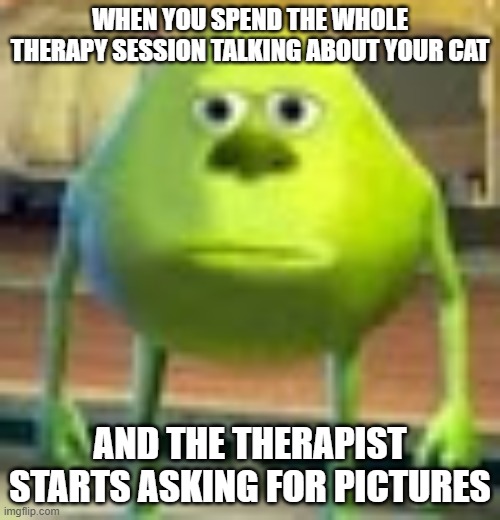 Sully Wazowski | WHEN YOU SPEND THE WHOLE THERAPY SESSION TALKING ABOUT YOUR CAT; AND THE THERAPIST STARTS ASKING FOR PICTURES | image tagged in sully wazowski | made w/ Imgflip meme maker