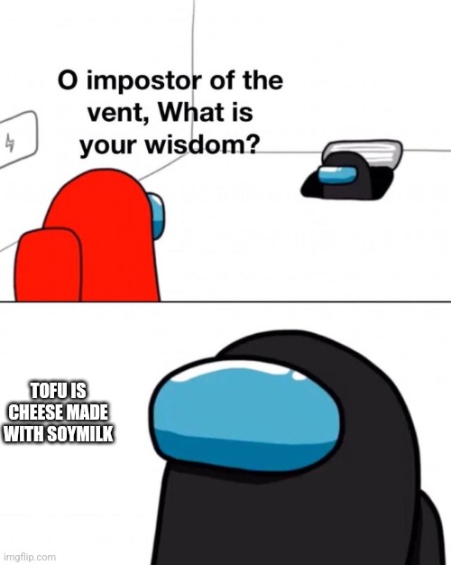 O impostor of the vent, what is your wisdom? | TOFU IS CHEESE MADE WITH SOYMILK | image tagged in o impostor of the vent what is your wisdom | made w/ Imgflip meme maker