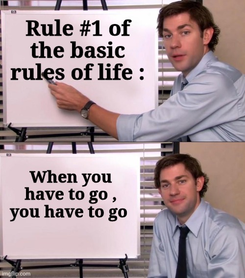 Jim Halpert Explains | Rule #1 of the basic rules of life : When you have to go , you have to go | image tagged in jim halpert explains | made w/ Imgflip meme maker