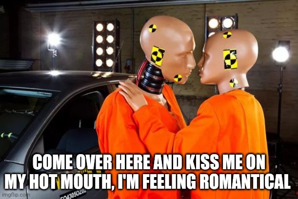 weird stock photo | COME OVER HERE AND KISS ME ON MY HOT MOUTH, I'M FEELING ROMANTICAL | image tagged in weird stock photo | made w/ Imgflip meme maker