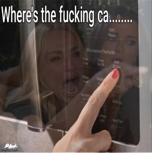 Where's the cat? | image tagged in where's the cat | made w/ Imgflip meme maker