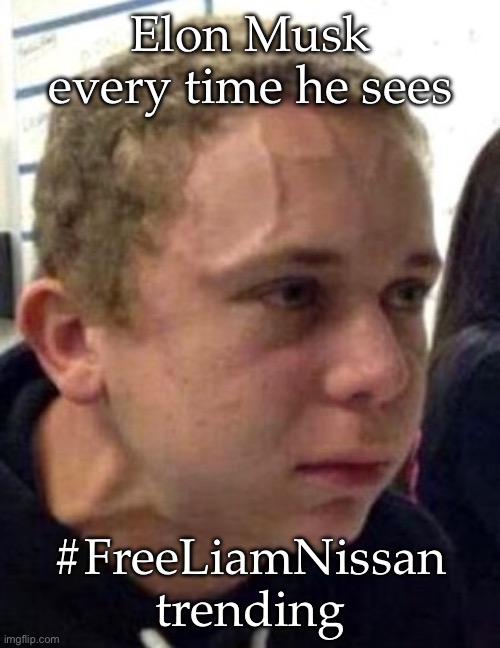 Free Liam Nissan | Elon Musk every time he sees; #FreeLiamNissan trending | image tagged in neck vein guy | made w/ Imgflip meme maker