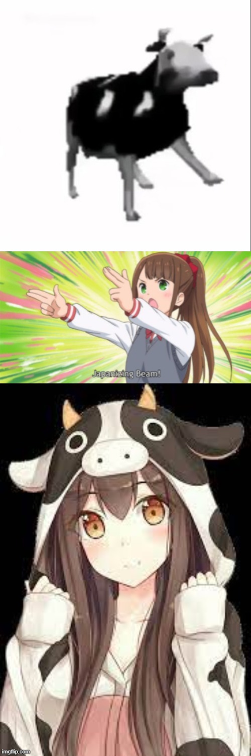 they destroyed my favorite meme | image tagged in dancing polish cow,japanizing beam | made w/ Imgflip meme maker