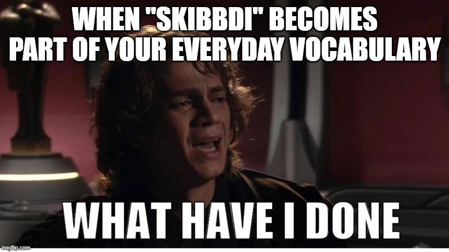 Anakin what have i done | WHEN "SKIBBDI" BECOMES PART OF YOUR EVERYDAY VOCABULARY | image tagged in anakin what have i done,skibidi toilet | made w/ Imgflip meme maker