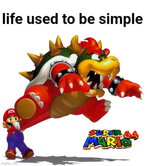 Mario swinging Bowser | life used to be simple | image tagged in mario swinging bowser | made w/ Imgflip meme maker