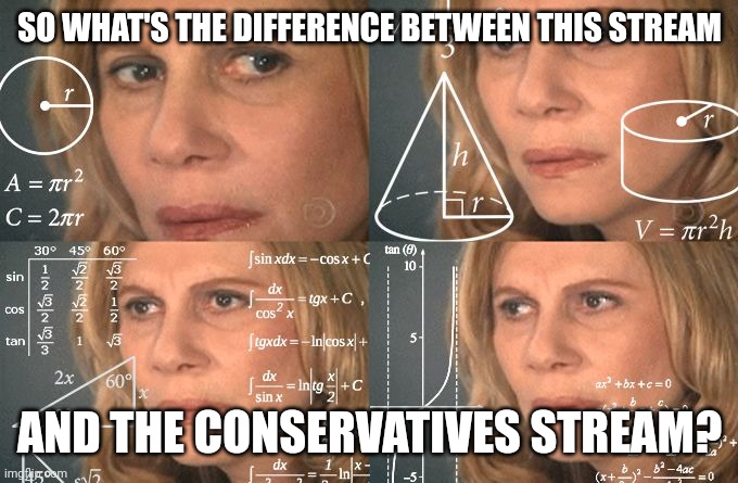 conservatives has more followers but this stream approves my memes faster and doesn't tolerate liberal anti-Christian garbage | SO WHAT'S THE DIFFERENCE BETWEEN THIS STREAM; AND THE CONSERVATIVES STREAM? | image tagged in calculating meme | made w/ Imgflip meme maker