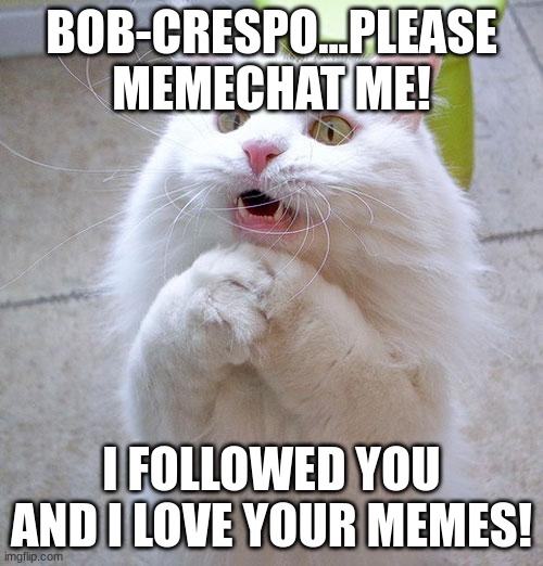 Begging Cat | BOB-CRESPO...PLEASE MEMECHAT ME! I FOLLOWED YOU AND I LOVE YOUR MEMES! | image tagged in begging cat | made w/ Imgflip meme maker