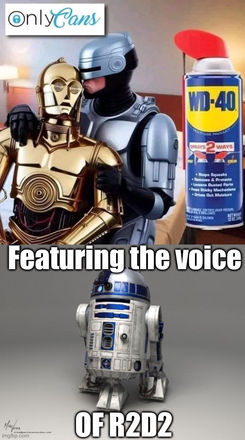 Mando & C3 | Featuring the voice; OF R2D2 | image tagged in r2d2,mandalorian,the mandalorian,c3po,onlyfans | made w/ Imgflip meme maker
