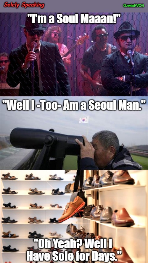 Solely Speaking | Solely Speaking; OzwinEVCG | image tagged in blues brothers,korea,marathon punning,shoes,eyeroll memes,competition | made w/ Imgflip meme maker