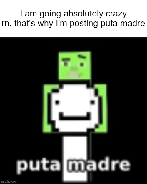 puta madre | I am going absolutely crazy rn, that's why I'm posting puta madre | image tagged in puta madre | made w/ Imgflip meme maker