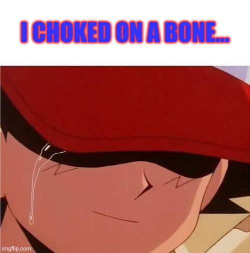 Ash Ketchum Crying | I CHOKED ON A BONE... | image tagged in ash ketchum crying | made w/ Imgflip meme maker