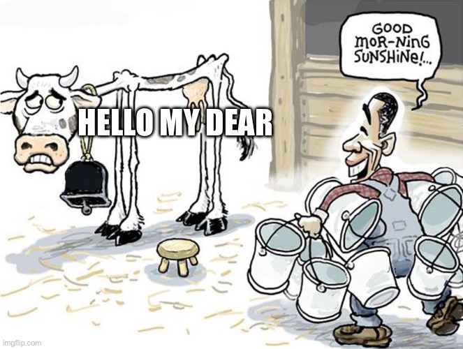 milking the cow | HELLO MY DEAR | image tagged in milking the cow | made w/ Imgflip meme maker