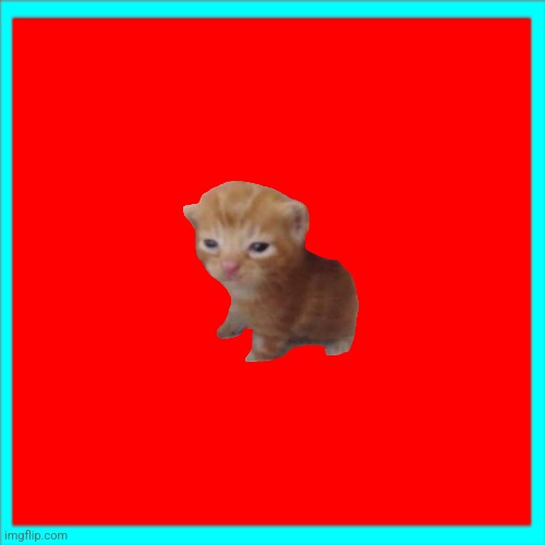 Red box | image tagged in red box | made w/ Imgflip meme maker
