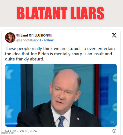 Quite frankly... these are blatant liars | BLATANT LIARS | image tagged in people,lying,coverup,biden dementia | made w/ Imgflip meme maker