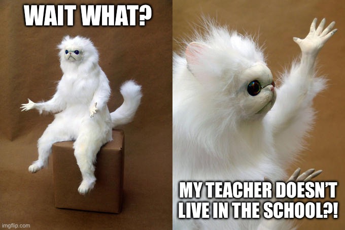 Persian Cat Room Guardian Meme | WAIT WHAT? MY TEACHER DOESN’T LIVE IN THE SCHOOL?! | image tagged in memes,persian cat room guardian | made w/ Imgflip meme maker