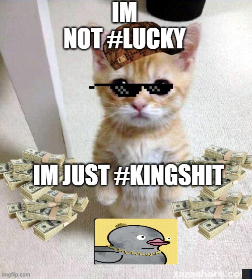 Cute Cat Meme | IM NOT #LUCKY; IM JUST #KINGSHIT | image tagged in memes,cute cat | made w/ Imgflip meme maker