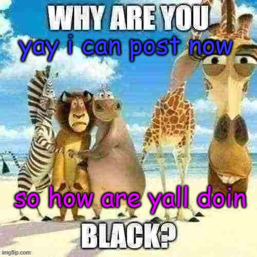 why are you black? | yay i can post now; so how are yall doin | image tagged in why are you black | made w/ Imgflip meme maker