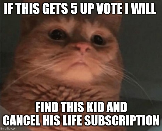IF THIS GETS 5 UP VOTE I WILL FIND THIS KID AND CANCEL HIS LIFE SUBSCRIPTION | made w/ Imgflip meme maker