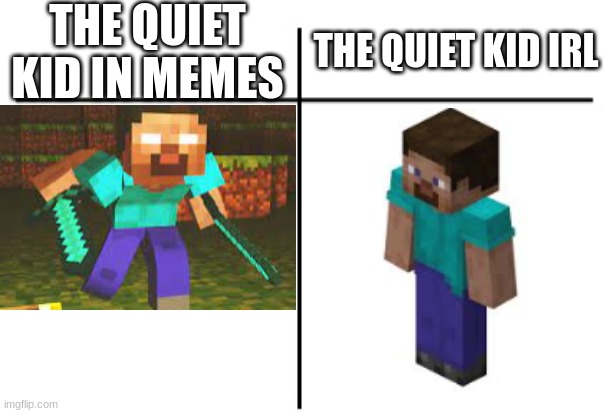 T chart | THE QUIET KID IN MEMES; THE QUIET KID IRL | image tagged in t chart,school,quiet kid,minecraft | made w/ Imgflip meme maker