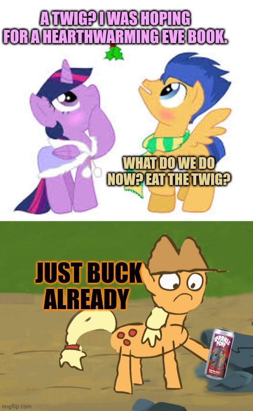 Twilight problems | A TWIG? I WAS HOPING FOR A HEARTHWARMING EVE BOOK. WHAT DO WE DO NOW? EAT THE TWIG? JUST BUCK ALREADY | image tagged in twilight sparkle,dates,flash sentry,mlp,failure | made w/ Imgflip meme maker