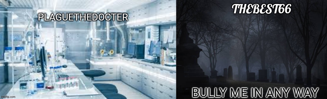 Plaguethedocter and Thebest66 | BULLY ME IN ANY WAY | image tagged in plaguethedocter and thebest66 | made w/ Imgflip meme maker