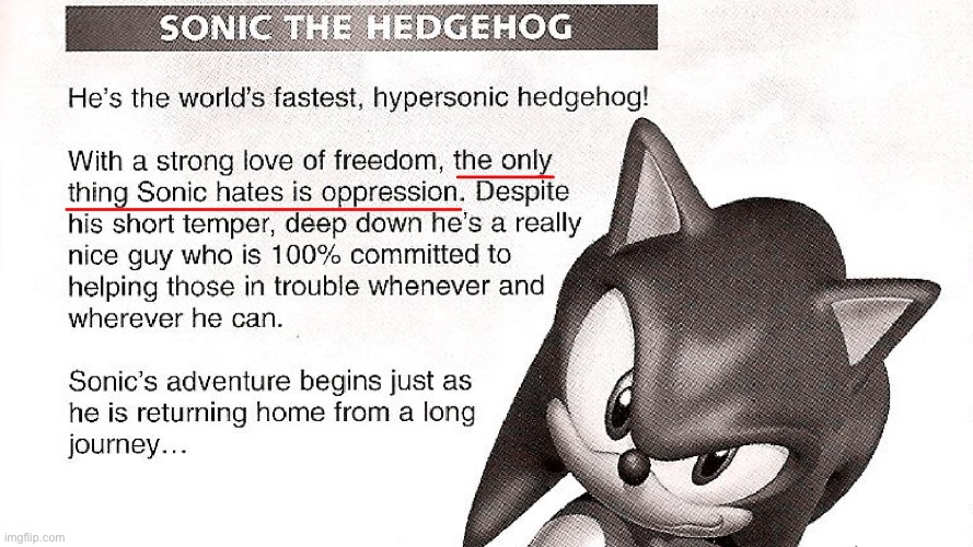 image tagged in sonic the hedgehog | made w/ Imgflip meme maker