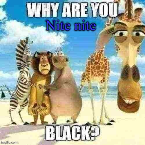 why are you black? | Nite nite | image tagged in why are you black | made w/ Imgflip meme maker