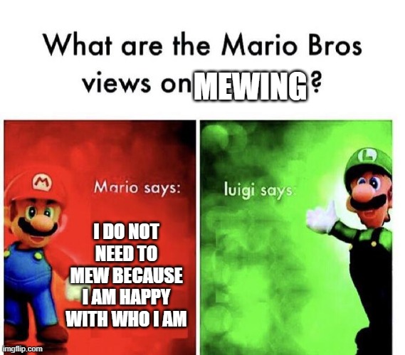 ? | MEWING; I DO NOT NEED TO MEW BECAUSE I AM HAPPY WITH WHO I AM | image tagged in mario bros views,memes | made w/ Imgflip meme maker