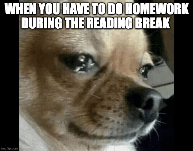 Reading Break is No fun | WHEN YOU HAVE TO DO HOMEWORK DURING THE READING BREAK | image tagged in dog crying | made w/ Imgflip meme maker