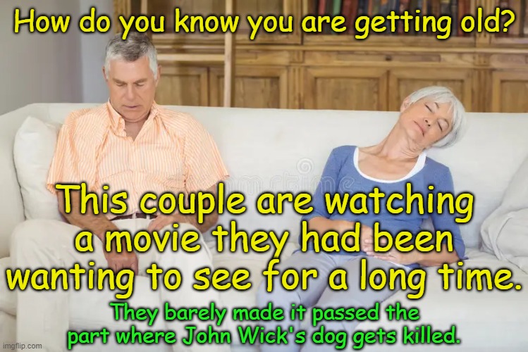 It's okay.  If they had stayed awake and saw the entire movie, by the next year or two they will have forgotten it. | How do you know you are getting old? This couple are watching a movie they had been wanting to see for a long time. They barely made it passed the part where John Wick's dog gets killed. | image tagged in getting old,its no fun,what were we talking about | made w/ Imgflip meme maker