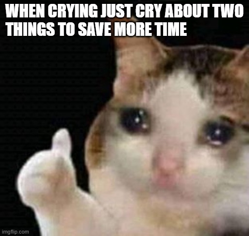 this template was PERFECT | WHEN CRYING JUST CRY ABOUT TWO THINGS TO SAVE MORE TIME | image tagged in sad thumbs up cat | made w/ Imgflip meme maker