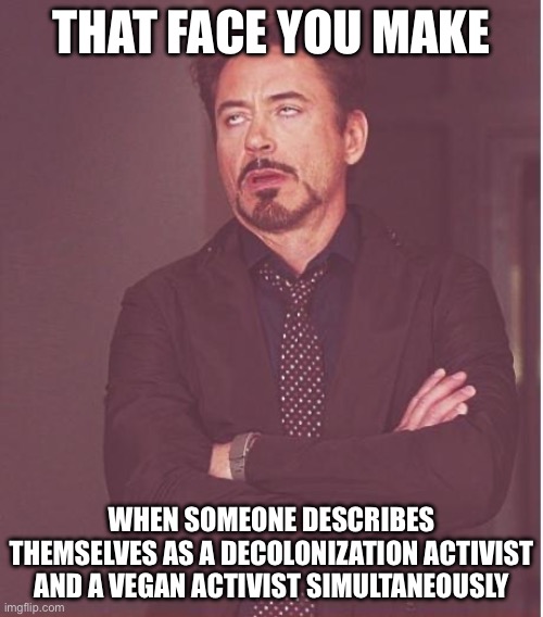 Face You Make Robert Downey Jr Meme | THAT FACE YOU MAKE; WHEN SOMEONE DESCRIBES THEMSELVES AS A DECOLONIZATION ACTIVIST AND A VEGAN ACTIVIST SIMULTANEOUSLY | image tagged in memes,face you make robert downey jr | made w/ Imgflip meme maker