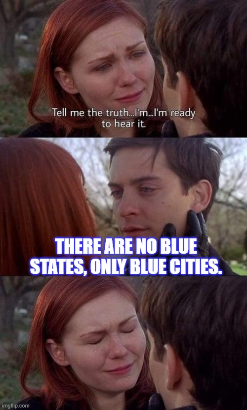 Tell me the truth, I'm ready to hear it | THERE ARE NO BLUE STATES, ONLY BLUE CITIES. | image tagged in tell me the truth i'm ready to hear it | made w/ Imgflip meme maker