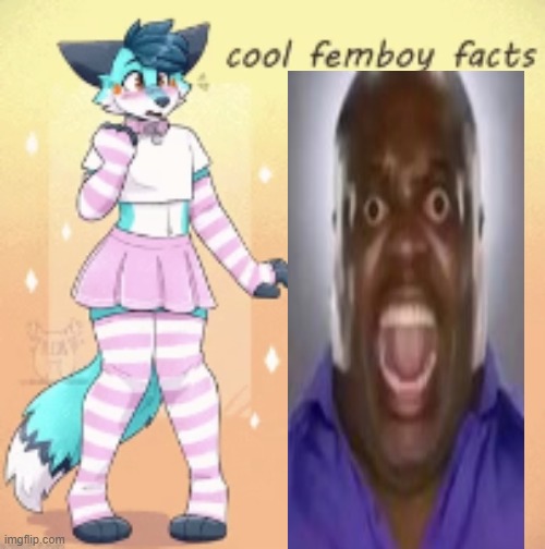 funny | image tagged in cool femboy facts,femboy | made w/ Imgflip meme maker