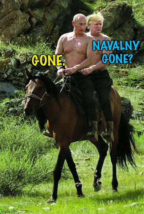 Took care of it | NAVALNY 
GONE? GONE. | image tagged in trump putin | made w/ Imgflip meme maker