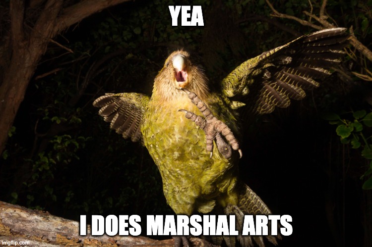 Artistic Birb  | YEA; I DOES MARSHAL ARTS | image tagged in opinionated kakapo | made w/ Imgflip meme maker