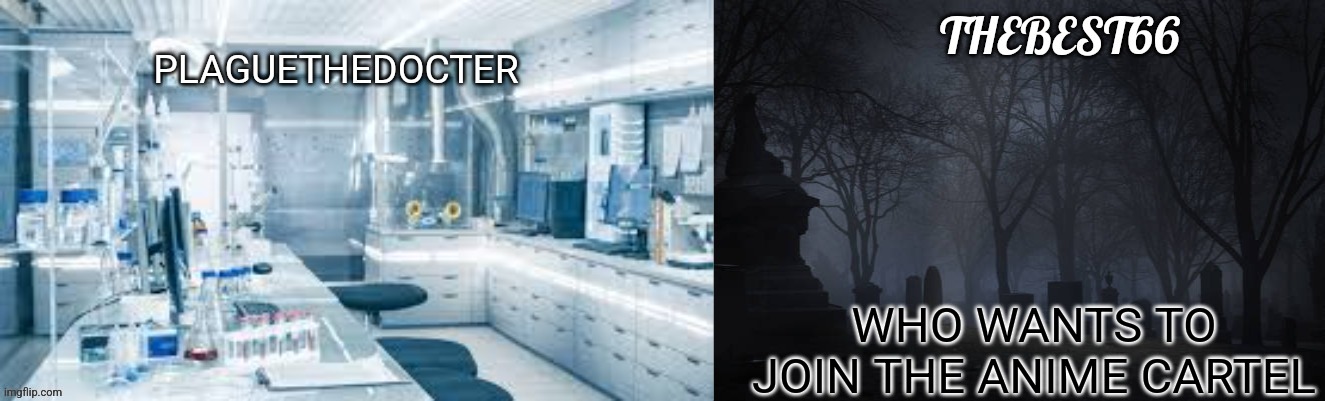 Plaguethedocter and Thebest66 | WHO WANTS TO JOIN THE ANIME CARTEL | image tagged in plaguethedocter and thebest66 | made w/ Imgflip meme maker