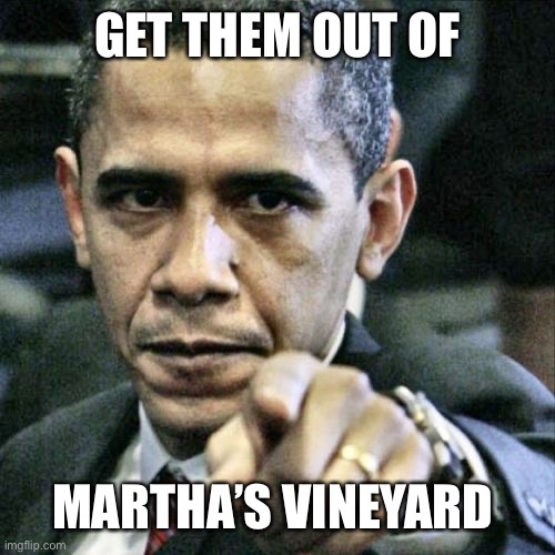 Pissed Off Obama Meme | GET THEM OUT OF MARTHA’S VINEYARD | image tagged in memes,pissed off obama | made w/ Imgflip meme maker