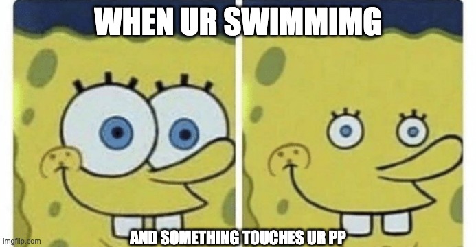 Sponge bob small eyes | WHEN UR SWIMMIMG; AND SOMETHING TOUCHES UR PP | image tagged in sponge bob small eyes | made w/ Imgflip meme maker