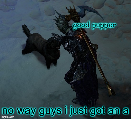 no way guys i just got an a | image tagged in good pupper | made w/ Imgflip meme maker