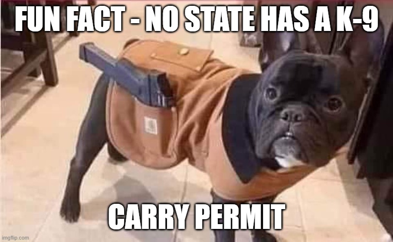 No Permit required | FUN FACT - NO STATE HAS A K-9; CARRY PERMIT | image tagged in second amendment,2nd amendment,gun laws,guns,dogs,dog | made w/ Imgflip meme maker
