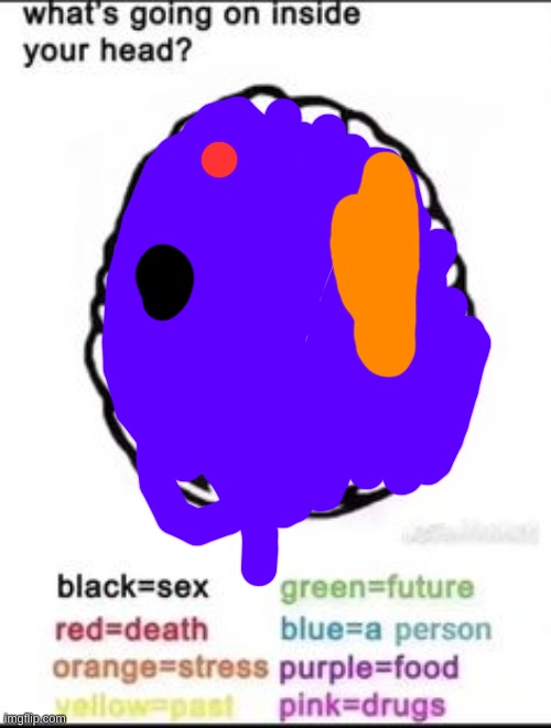 What's going on inside your head? | image tagged in what's going on inside your head | made w/ Imgflip meme maker