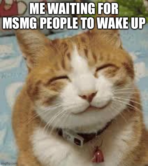 Happy cat | ME WAITING FOR MSMG PEOPLE TO WAKE UP | image tagged in happy cat | made w/ Imgflip meme maker