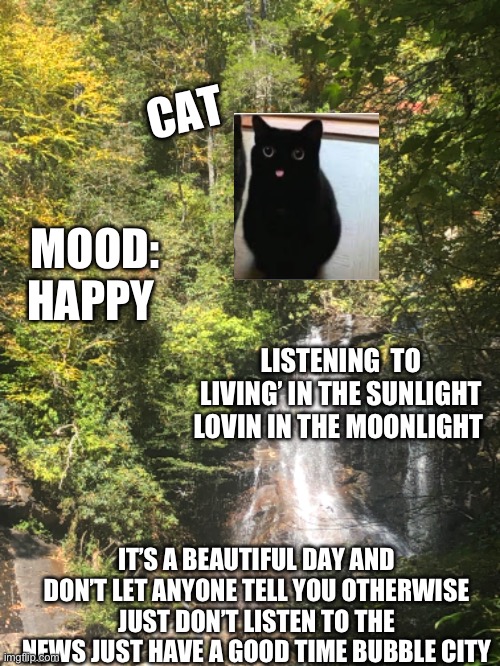 CAT; MOOD: HAPPY; LISTENING  TO LIVING’ IN THE SUNLIGHT LOVIN IN THE MOONLIGHT; IT’S A BEAUTIFUL DAY AND DON’T LET ANYONE TELL YOU OTHERWISE JUST DON’T LISTEN TO THE NEWS JUST HAVE A GOOD TIME BUBBLE CITY | made w/ Imgflip meme maker
