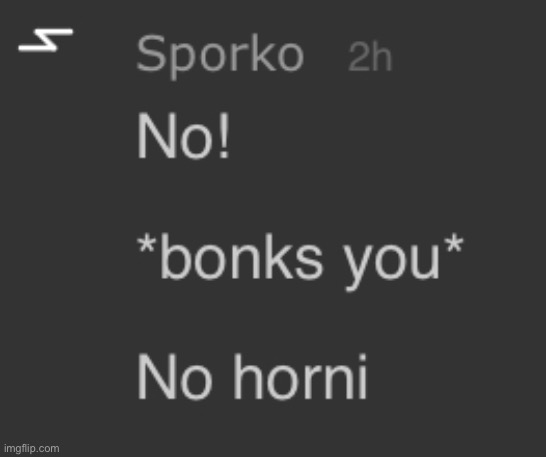 No horni chat | image tagged in no | made w/ Imgflip meme maker