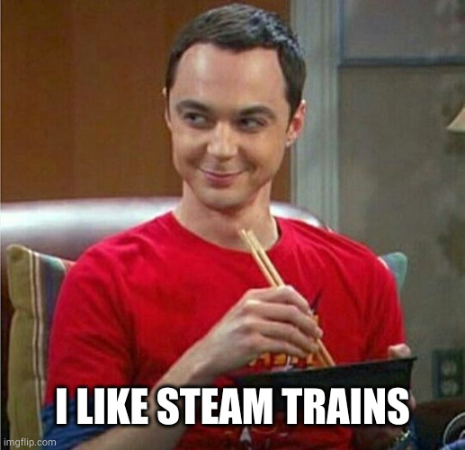 Sheldon Chinese Food | I LIKE STEAM TRAINS | image tagged in sheldon chinese food | made w/ Imgflip meme maker