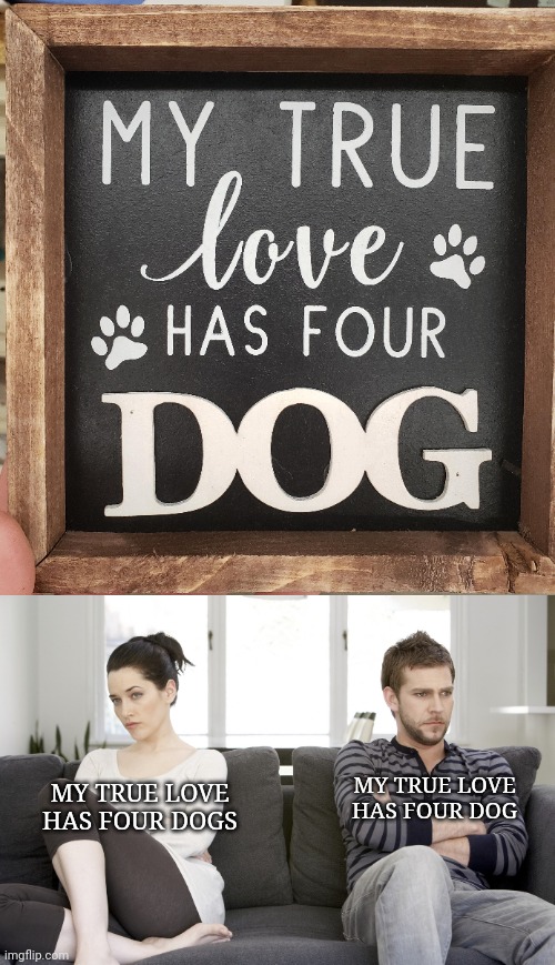 *Dogs | MY TRUE LOVE HAS FOUR DOG; MY TRUE LOVE HAS FOUR DOGS | image tagged in couple arguing,dogs,dog,you had one job,memes,true love | made w/ Imgflip meme maker